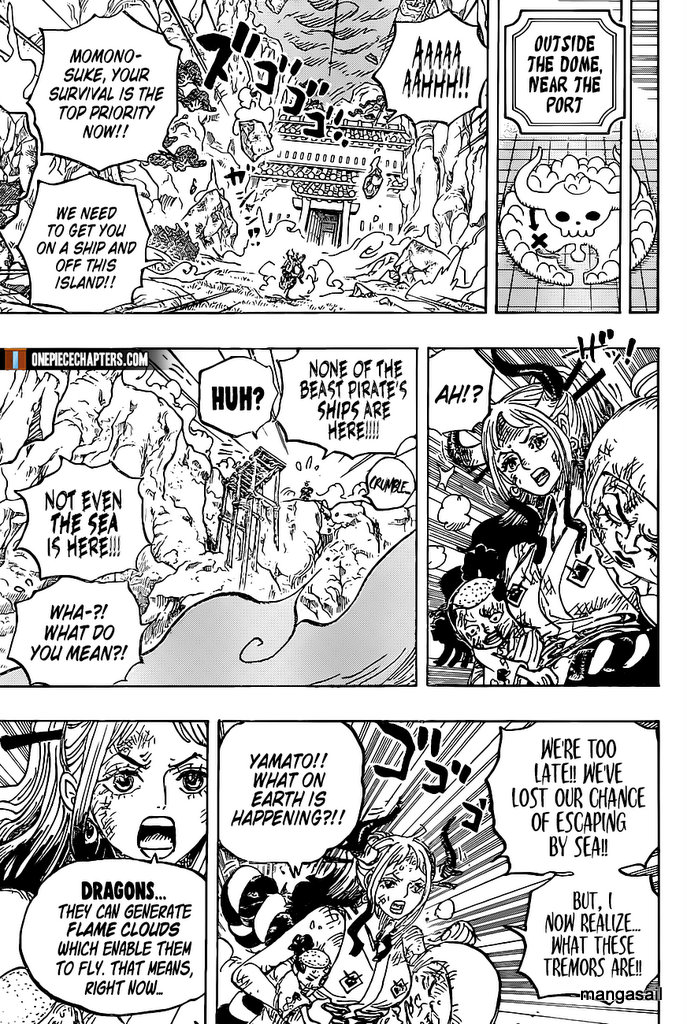 One Piece Chapter 997 16